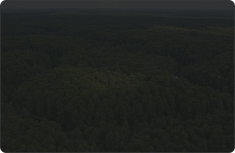 Proceduri interne